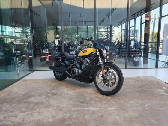 HARLEY-DAVIDSON NIGHTSTER SPECIAL 